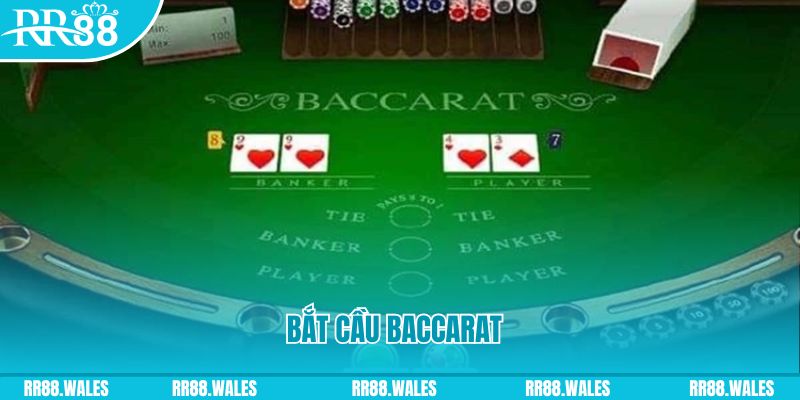 megacasino casino TỶ LỆ BÓNG ĐÁ